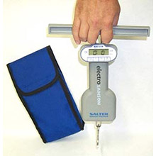 Salter ElectroSamson Digital Hand-Held Scale