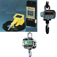MSI Crane scales