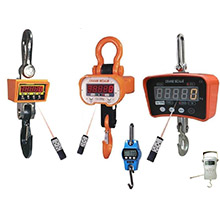 BCS Series Crane Scales